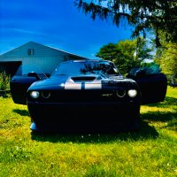 Tim Kingston (@kinghcat) 's Twitter Profile