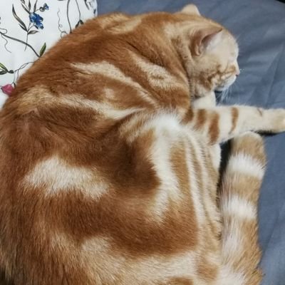 kiddpri's profile picture. 