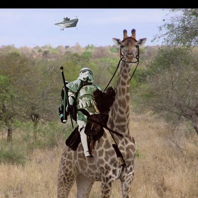 sneakyweathaman's profile picture. 