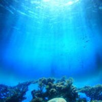 ocean deep (@oceandeep2010) 's Twitter Profile Photo