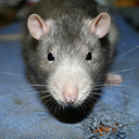 Jack Corso - @jackcorso - Twitter