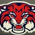 DFS WILDCATS 2025 Shazer (@dfswildcats2025) Twitter profile photo DFS WILDCATS 2025 Shazer (@dfswildcats2025) Twitter profile photo
