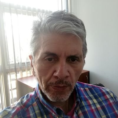 dmartinotti1's profile picture. 