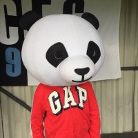 Chris C (@chris_lilywhite) 's Twitter Profile Photo Chris C (@chris_lilywhite) 's Twitter Profile Photo