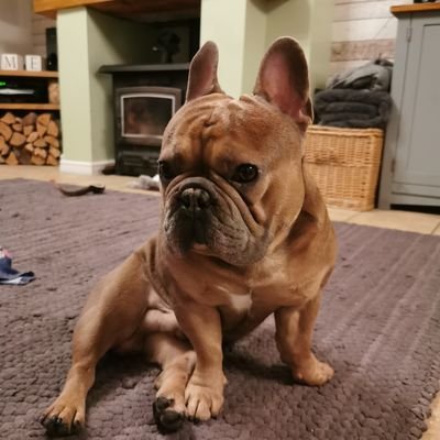 Lynette66267883's profile picture. 