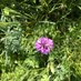 Parbold Wildlife Group: conserving nature (@groupparbold) Twitter profile photo Parbold Wildlife Group: conserving nature (@groupparbold) Twitter profile photo