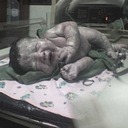 Mario René Mérida - @MarioReneMerida - Twitter