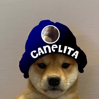 JAVIERLT1997's profile picture. Amante de los videojuegos y los buenos memiyos.