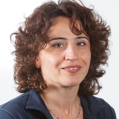 hulyadagdeviren's profile picture. Prof of Economic Development Univ. of Hertfordshire. Editor-in-Chief of Competition & Change. @CompChange
