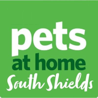 #Petshop #Groomroom #Vets4pets  all under one roof   .