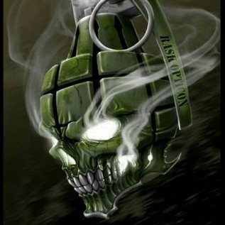 APERS43's profile picture. APERS = Anti-Personnel....43 = age when made this twitter account.