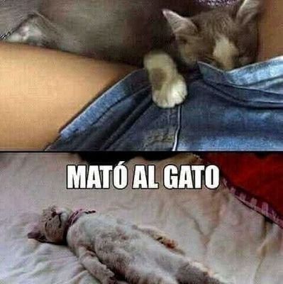 LuisaRi32716354's profile picture. Vouyerismo ....todo una pasión. todo lo relacionado con el erotismo...no buscamos encuentros