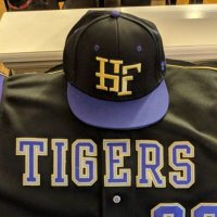 Holy Family Tigers Baseball (@holyfamilybsbl) 's Twitter Profile