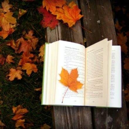 marilui69's profile picture. Aqui y ahora, lo demas ...