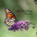 I John 5:20 (@creationcamper) Twitter profile photo I John 5:20 (@creationcamper) Twitter profile photo