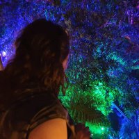 Sarah Haggar (@sarahhaggar) 's Twitter Profile