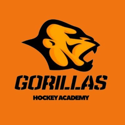 2009 Major Hockey Team in the HSL 🇨🇦. Inspired to improve all aspects of the experience on and off the ice. Affiliate of @gorillas_hockey academy.