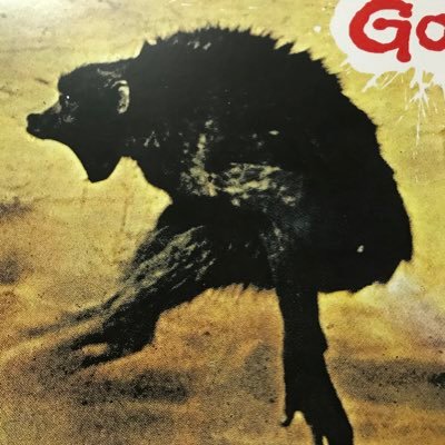 澤田丈茂さんのプロフィール画像