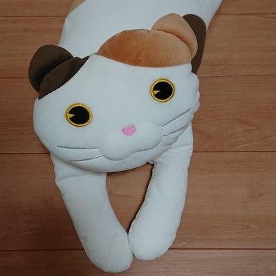 ｷﾖﾘﾝ - Search / X