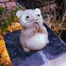 grgrdon_bay's profile picture. お笑いだのラジオだの