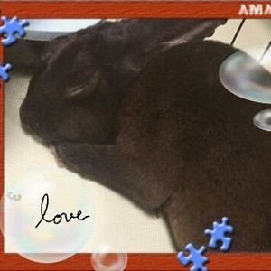 TCFcoCL5Lh6s9Pv's profile picture. ミニレッキスでんかの永遠の下僕    

好きです、金爆研二💕

故中川昭一氏を敬愛しています。

浅田真央ちゃんと、シドのマオにゃんの声は日本の宝です。

心から日本人で良かった

本音とか自由気ままに／結構なババァ🃏です。

#みんなで守ろう正しい皇統