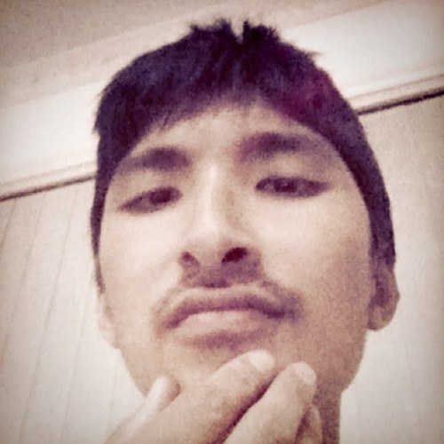 ayctay's profile picture. @ayctay@mastodon.au