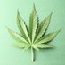American Hempire (@americanhempire) Twitter profile photo American Hempire (@americanhempire) Twitter profile photo
