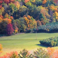 นัดกัน (@zhcqzndpe8csv1w) 's Twitter Profile Photo