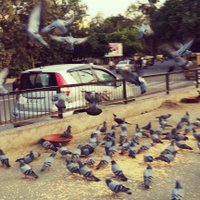 Weakest LINK (@_weakestlink) 's Twitter Profile