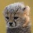foreverrami's profile image