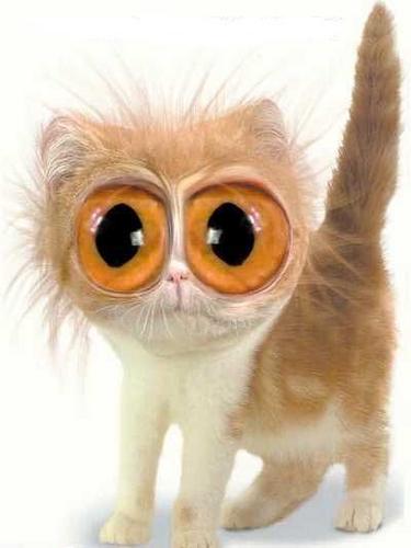 deichholz's profile picture. Husband, father of 4, programmer, nerd.