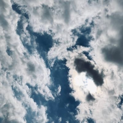 maha_al08 Profile Picture