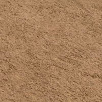 Tony (@anthonybucardo6) 's Twitter Profile