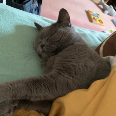 Kathrin_Duffner's profile picture. 