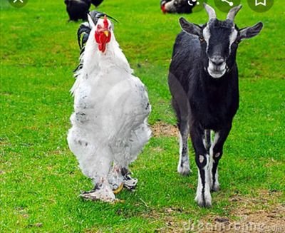 PapaAmmar2's profile picture. no caption