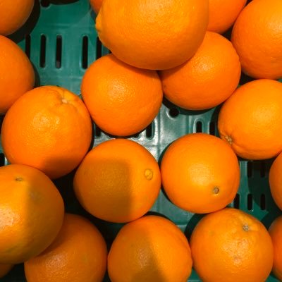 Gokuardo2's profile picture. !!