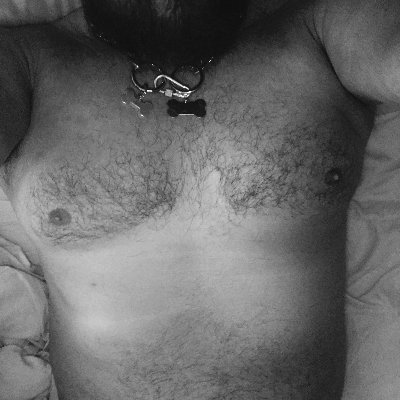 Hairlover22's profile picture. Hairy blokes step forward ;)