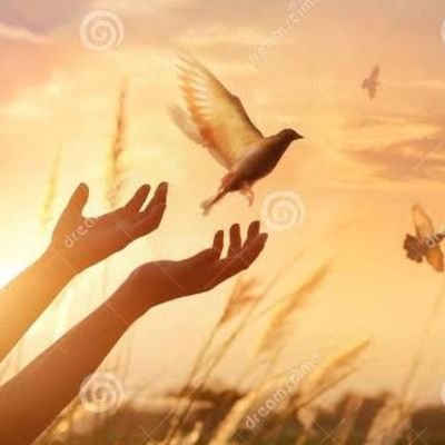 I_Anusha_ap's profile picture. Never Ever give up 😎