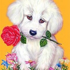 MichaelMilley9's profile picture. Success is not final, failure is not fatal: it is the courage to continue that counts.