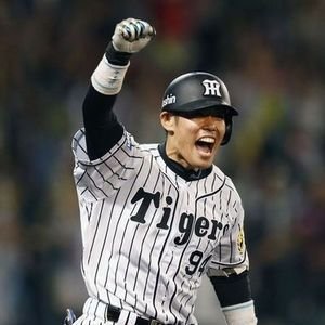 福島県から熱く熱く阪神タイガースを応援しています。