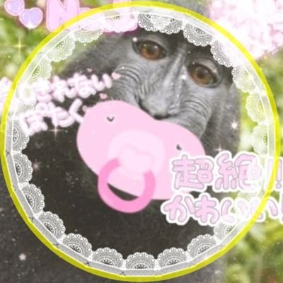 : か え で ﾁ ｬ ﾝ :さんのプロフィール画像