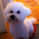 Sen Ye - @Sen_ye - Twitter