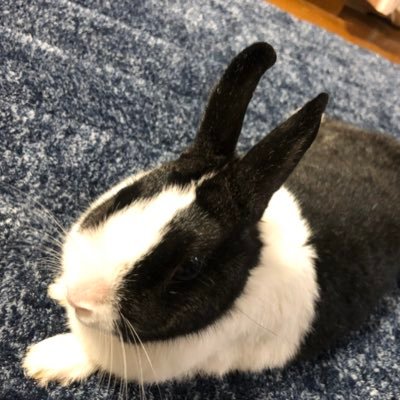 jtSZKfqGxZIxPkP's profile picture. 