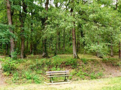 HCoco24739891's profile picture. 