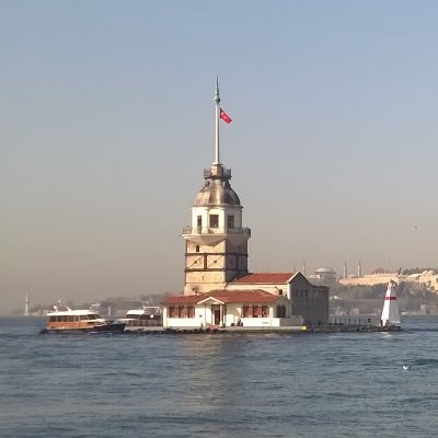 timetorise1's profile picture. 