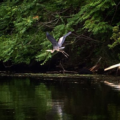 Advocate for the Malden and Mystic Rivers.  Don't step over trash: It may not be yours but, pick it up, please :)