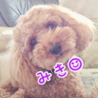 チョコとキラ☆(@PkIIiSKYzbaNSLT) 's Twitter Profile Photo
