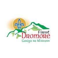 1st Dromore Newry Scout Group(@newryscouts) 's Twitter Profile Photo