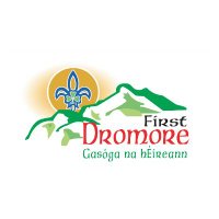 1st Dromore Newry Scout Group (@newryscouts) 's Twitter Profile