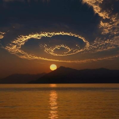 habibme1's profile picture. 